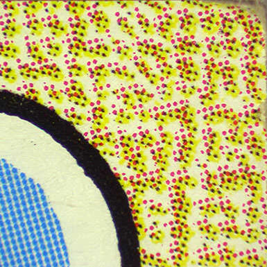 Magnified details of a sports card